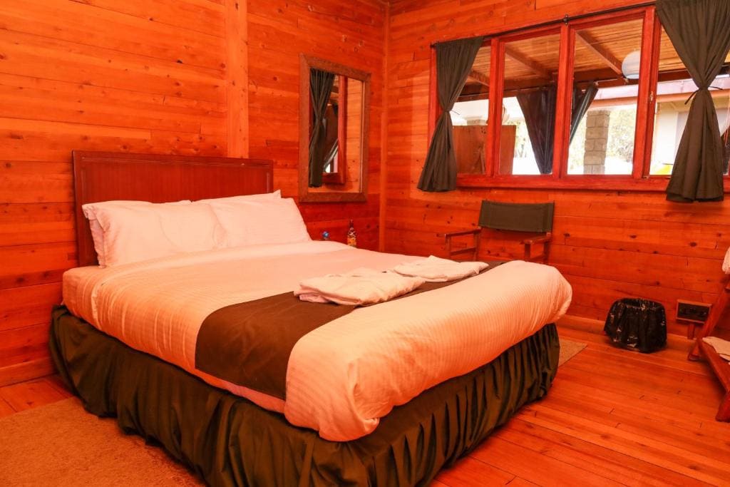 Twin Room with Terrace room - Image 3