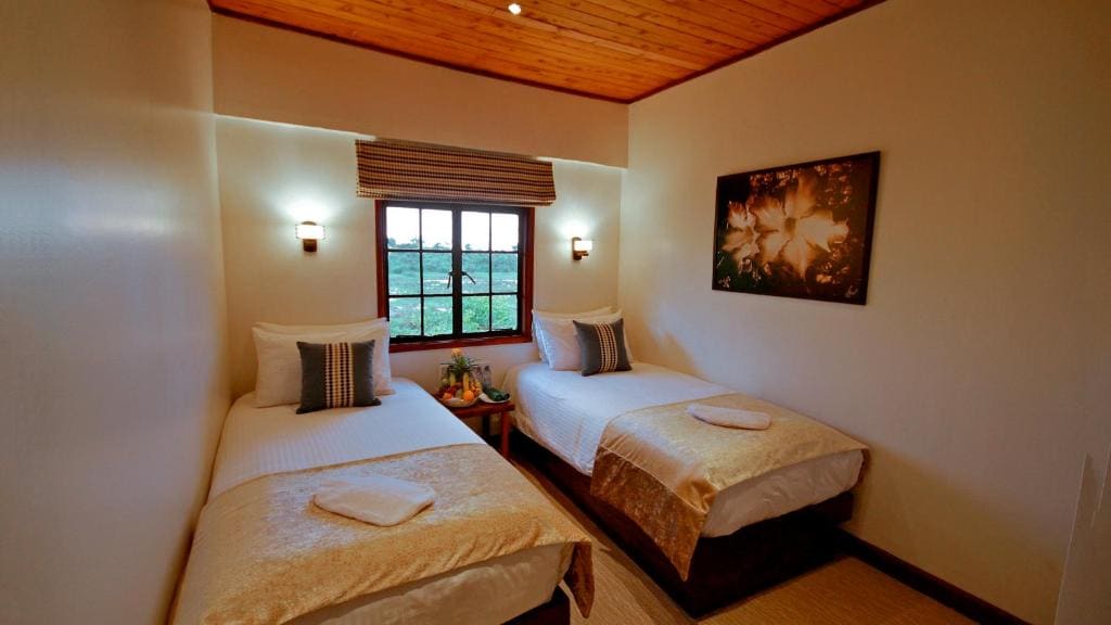 Standard Queen Room room - Image 2