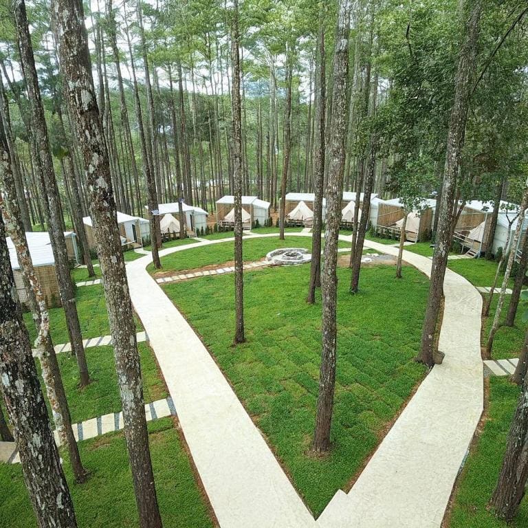 Family Camping Tent room - Image 3