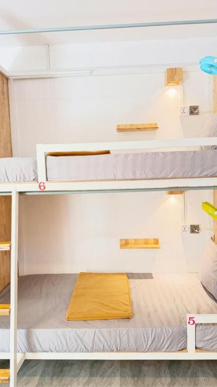 8-Bed Mixed Dormitory Room room - Image 2