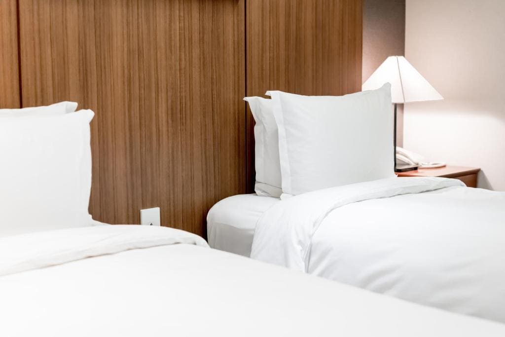 Deluxe Twin Room - No View room - Image 1