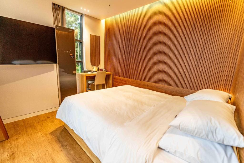 Deluxe Double Room room - Image 1