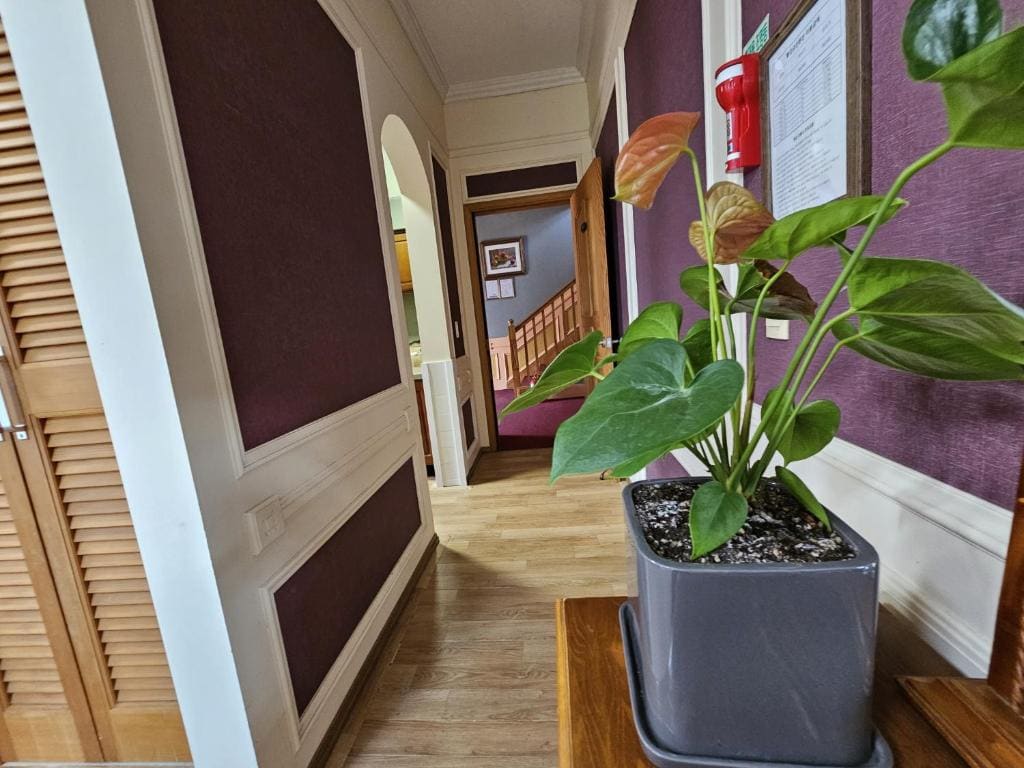 Standard Family Room room - Image 1