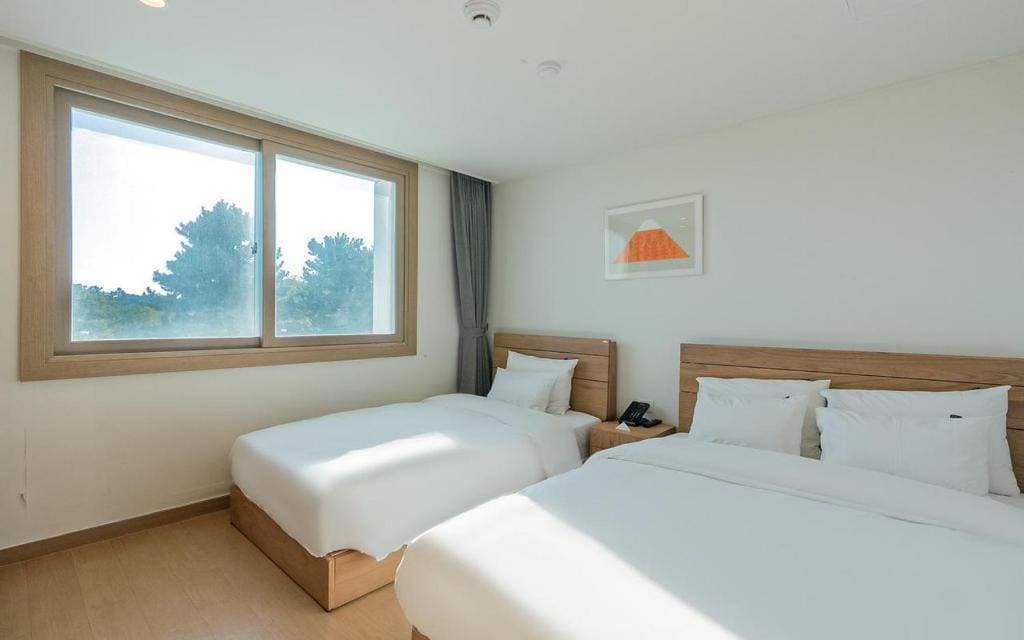 Pet Deluxe Twin Room room - Image 3