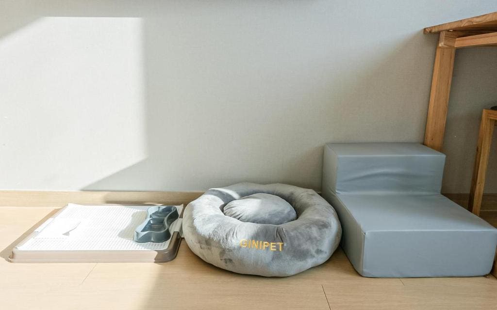 Pet Deluxe Twin Room room - Image 1
