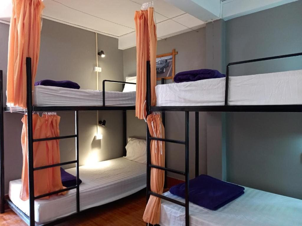 Single Bed in 6-Bed Dormitory Room room - Image 3