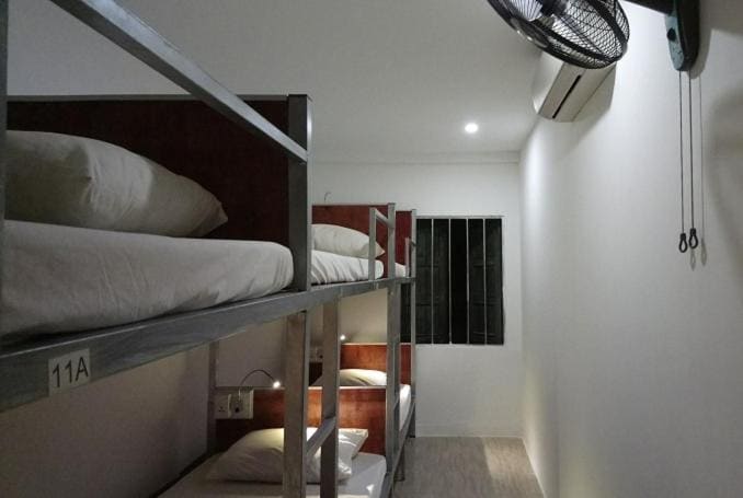 Bunk Bed in Mixed Dormitory Room room - Image 1