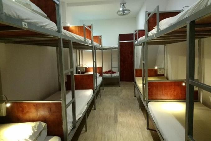 Bunk Bed in Mixed Dormitory Room room - Image 2