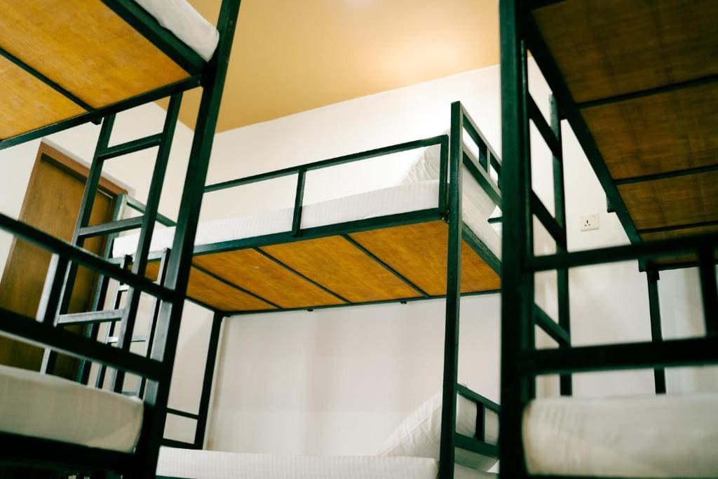 Bunk Bed in Male Dormitory Room room - Image 1
