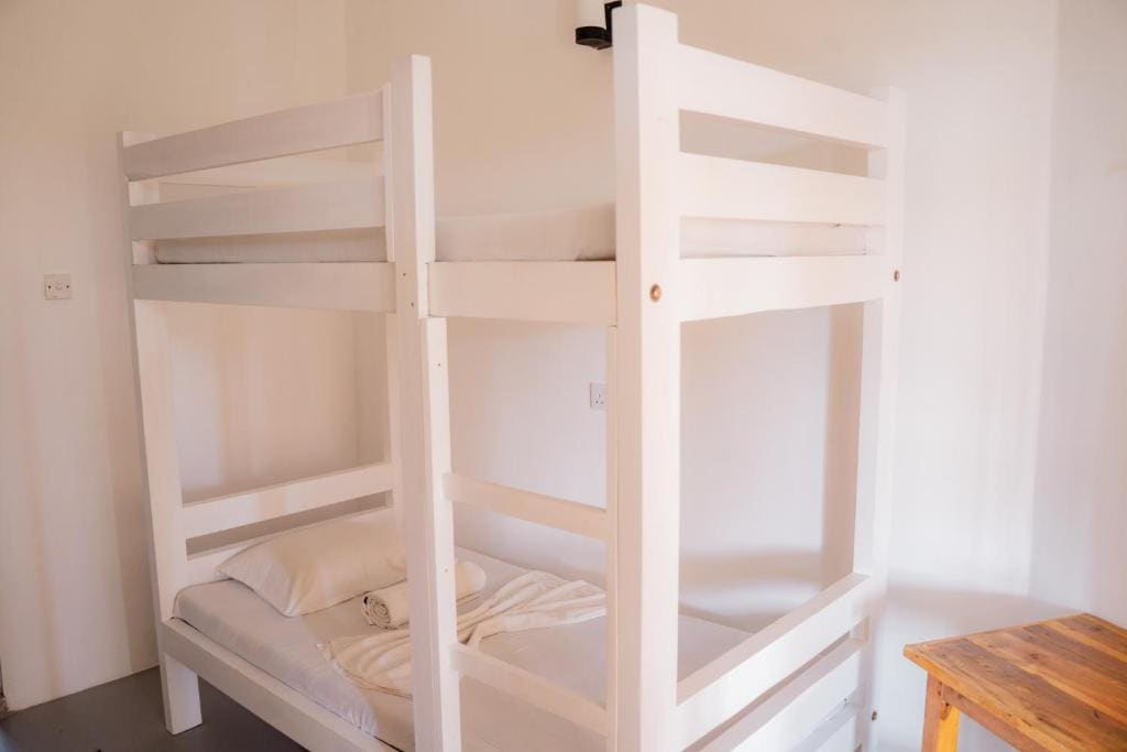 Single Bed in 4-Bed Dormitory Room room - Image 1