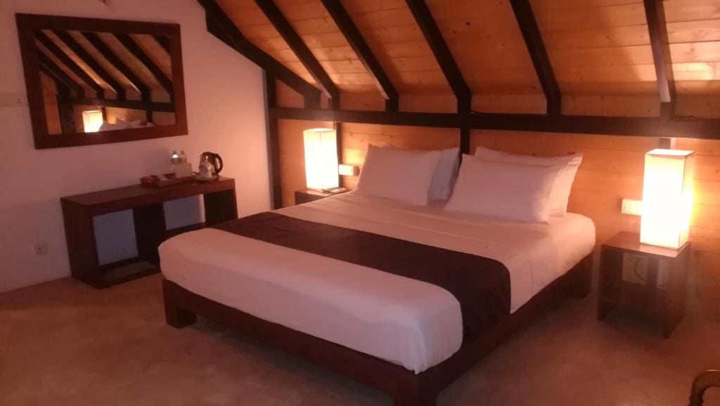 Superior Double Room room - Image 3