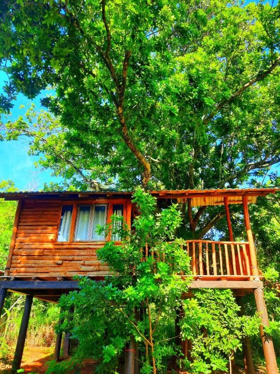 Double Room with Balcony room - Image 2