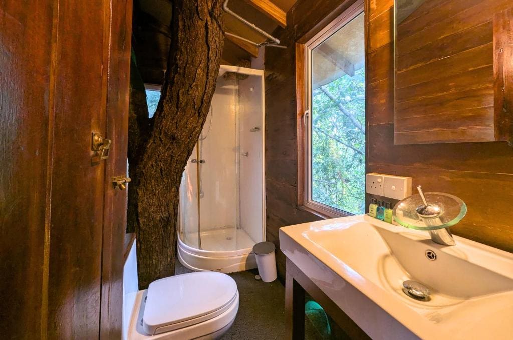 Superior Tree House room - Image 3