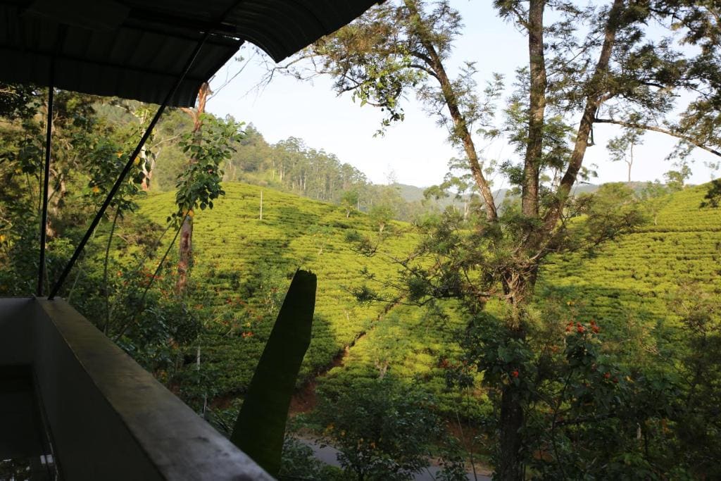 Deluxe Double Room with Balcony room - Image 1