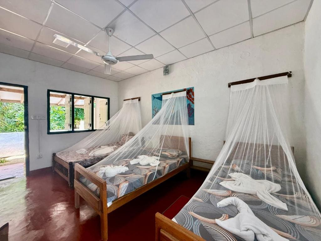 Wind Rider Dorm room - Image 3