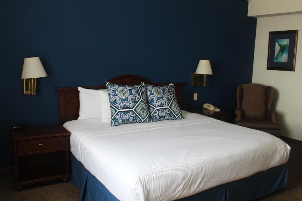 King Suite room - Image 2