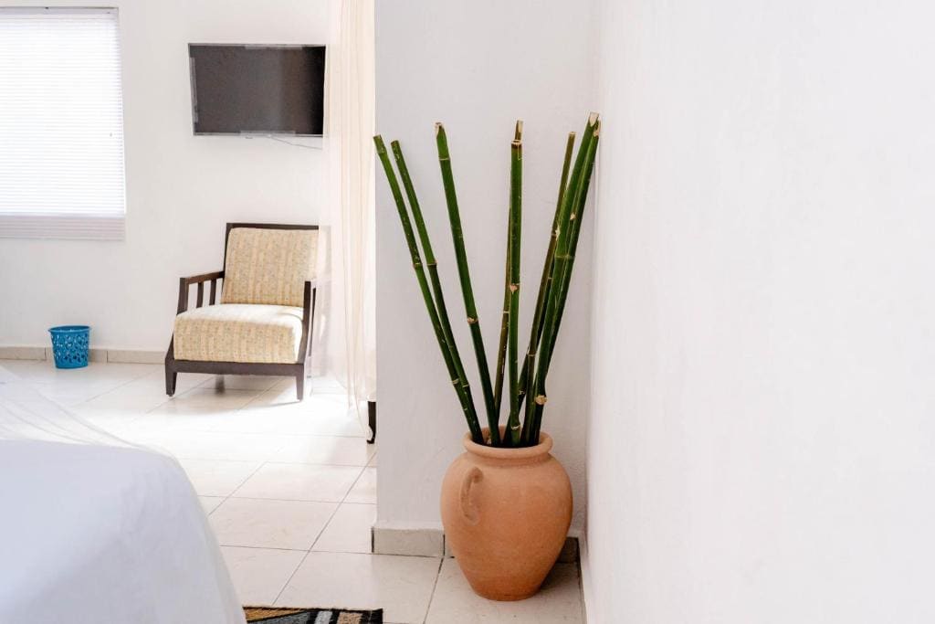 Deluxe Apartment room - Image 3