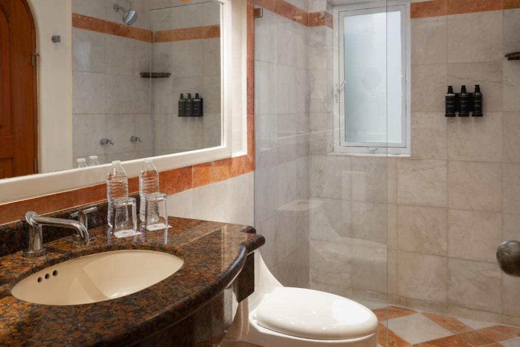 Doble Premium con terraza room - Image 2