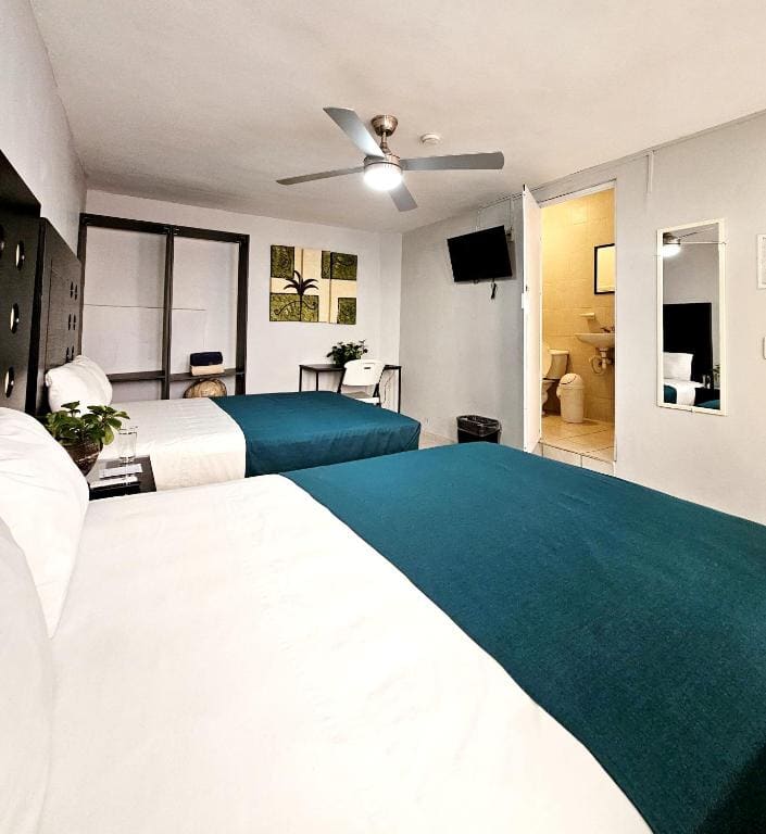 Studio room - Image 1