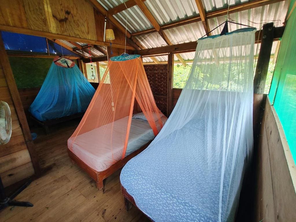 Single Bed in 4-Bed Dormitory Room room - Image 1