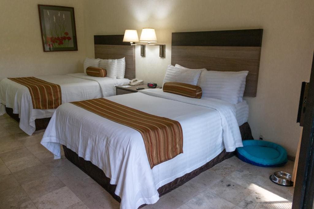Standard Double Room Dog Friendly room - Image 1