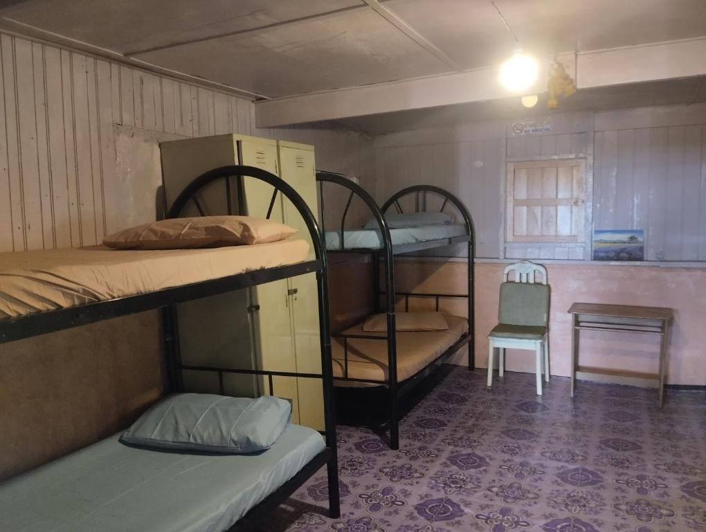 Bunk Bed in Mixed Dormitory Room room - Image 3