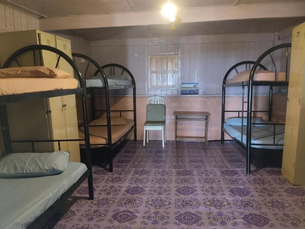 Bunk Bed in Mixed Dormitory Room room - Image 2