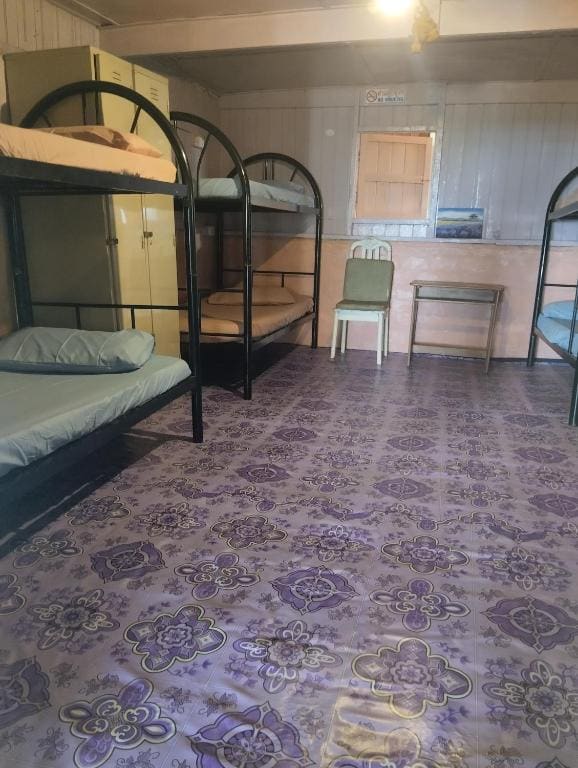 Bunk Bed in Mixed Dormitory Room room - Image 1
