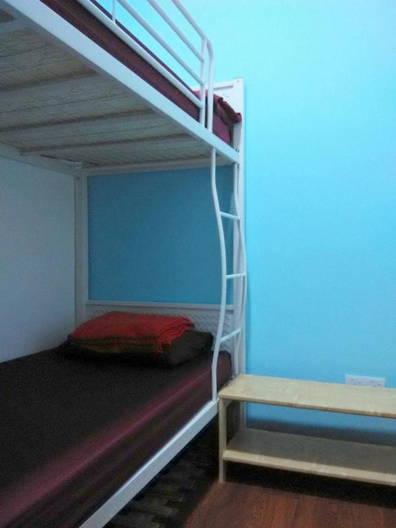 Single Bed in 4-Bed Female Dormitory Room room - Image 1