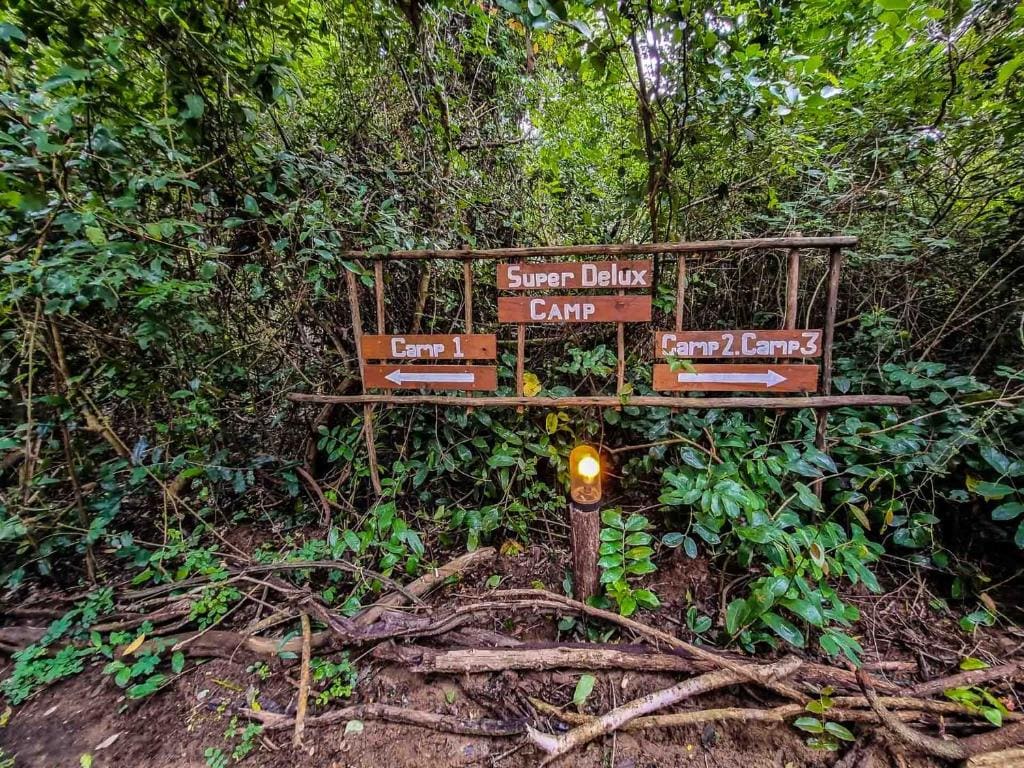 Private Camp with 3 Luxury Tents room - Image 1