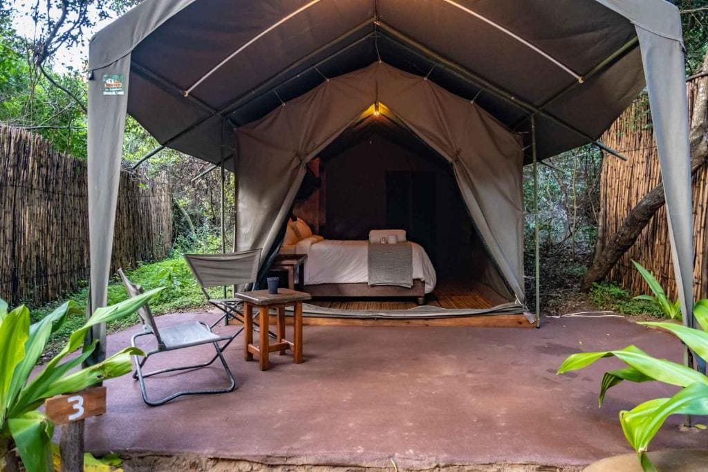 Private Camp with 3 Luxury Tents room - Image 2