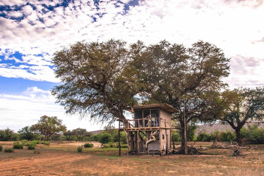 Treehouse Double Tent room - Image 1