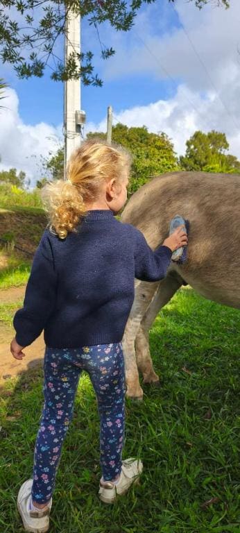 Family Bungalow room - Image 2
