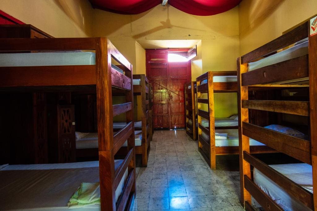 Bunk Bed in Mixed Dormitory Room room - Image 1
