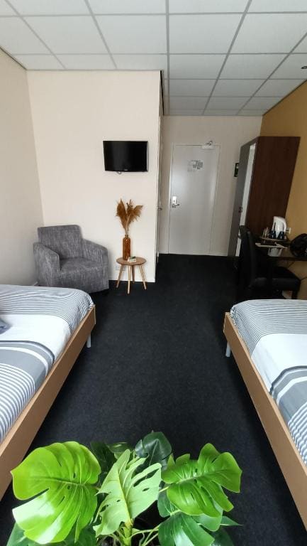Double or Twin Room room - Image 3