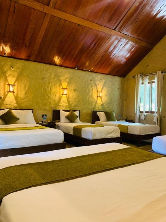 8-Bed Mixed Dormitory Room room - Image 3