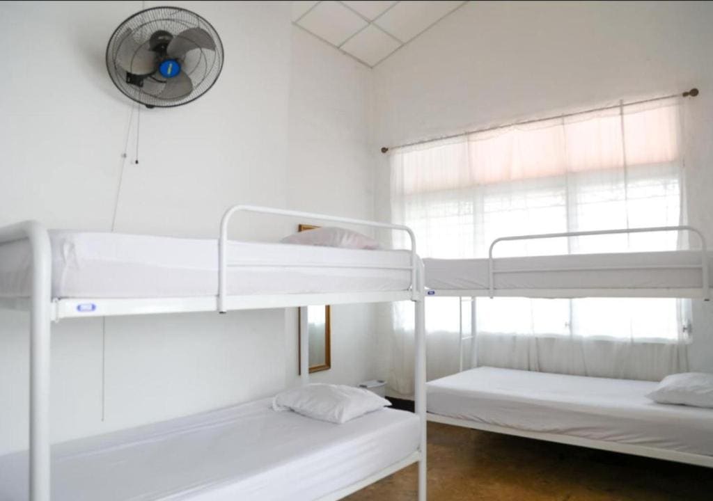 8-Bed Mixed Dormitory Room room - Image 1
