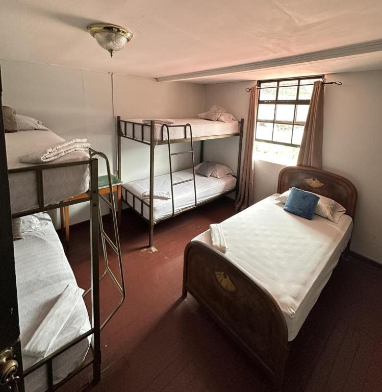 Bunk Bed in Mixed Dormitory Room room - Image 3