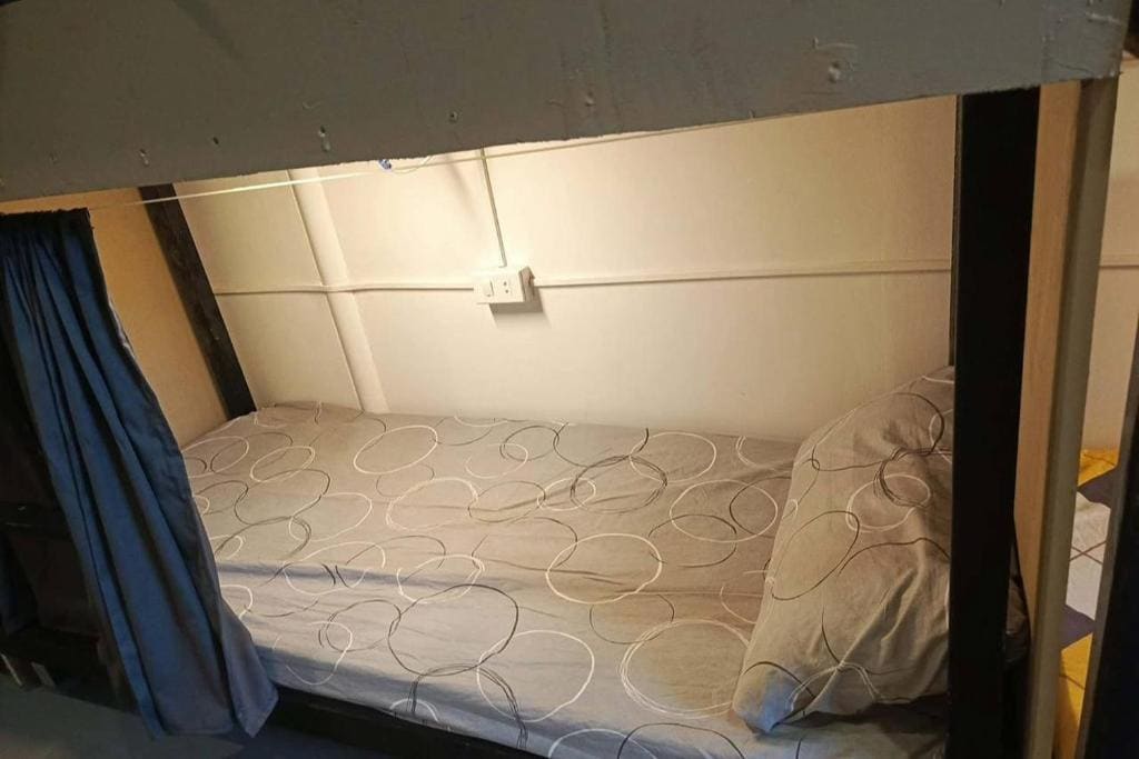 Bunk Bed in Mixed Dormitory Room room - Image 1