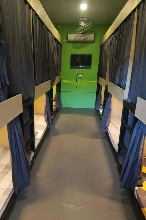 Bunk Bed in Mixed Dormitory Room room - Image 3