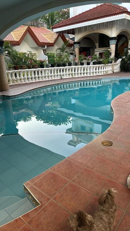 Deluxe Double or Twin Room with Pool View room - Image 2