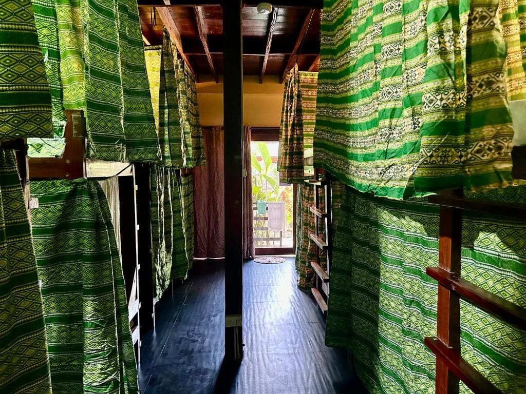 Bunk Bed in Mixed Dormitory Room room - Image 2