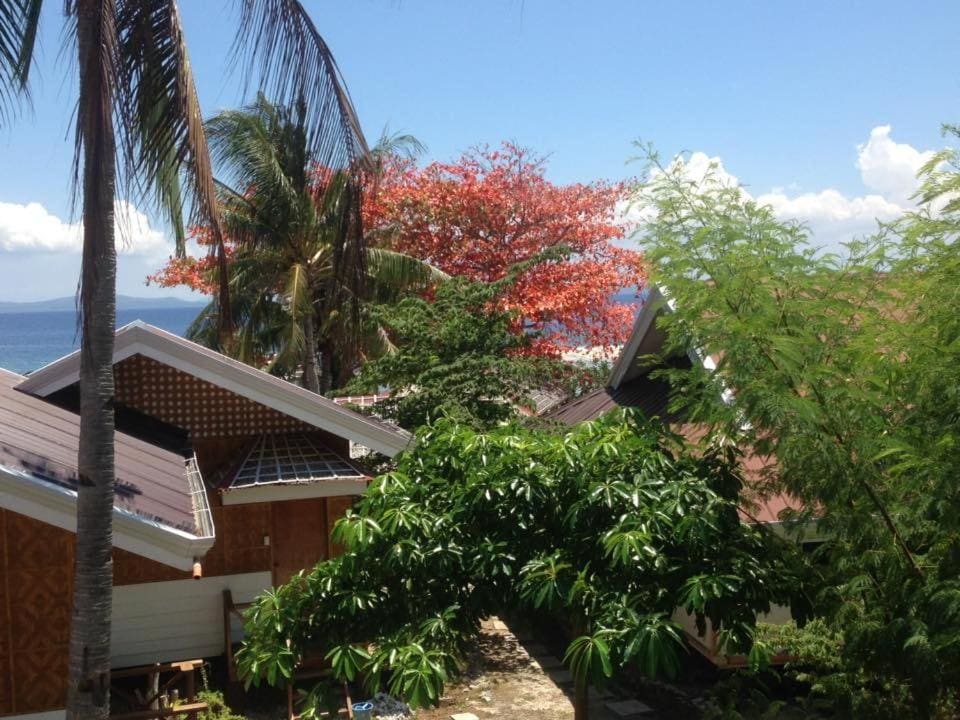 Deluxe Double or Twin Room with Ocean View room - Image 3