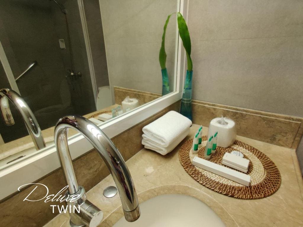 Deluxe Twin Room room - Image 3