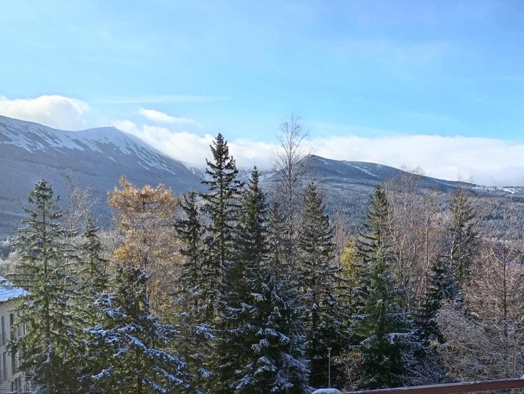 Double Room with Mountain View room - Image 2