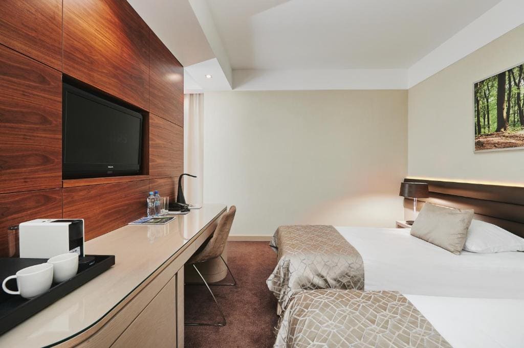 Superior Double or Twin Room room - Image 1
