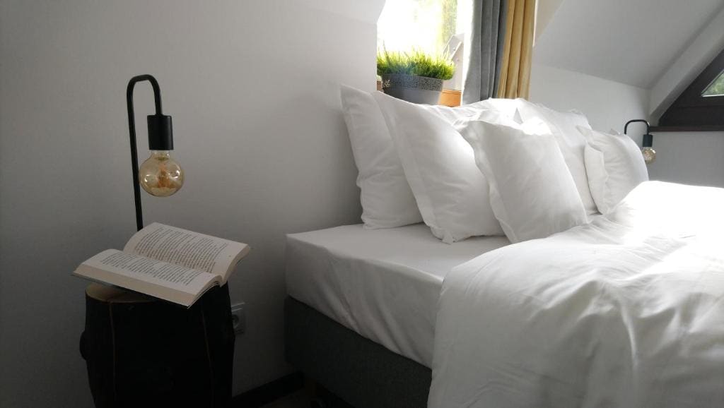 Deluxe King Suite room - Image 2