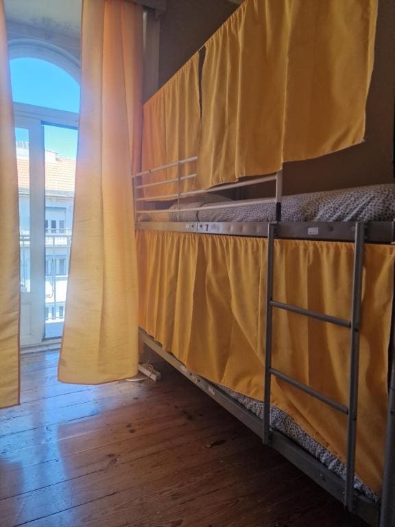 Bunk Bed in Mixed Dormitory Room room - Image 3