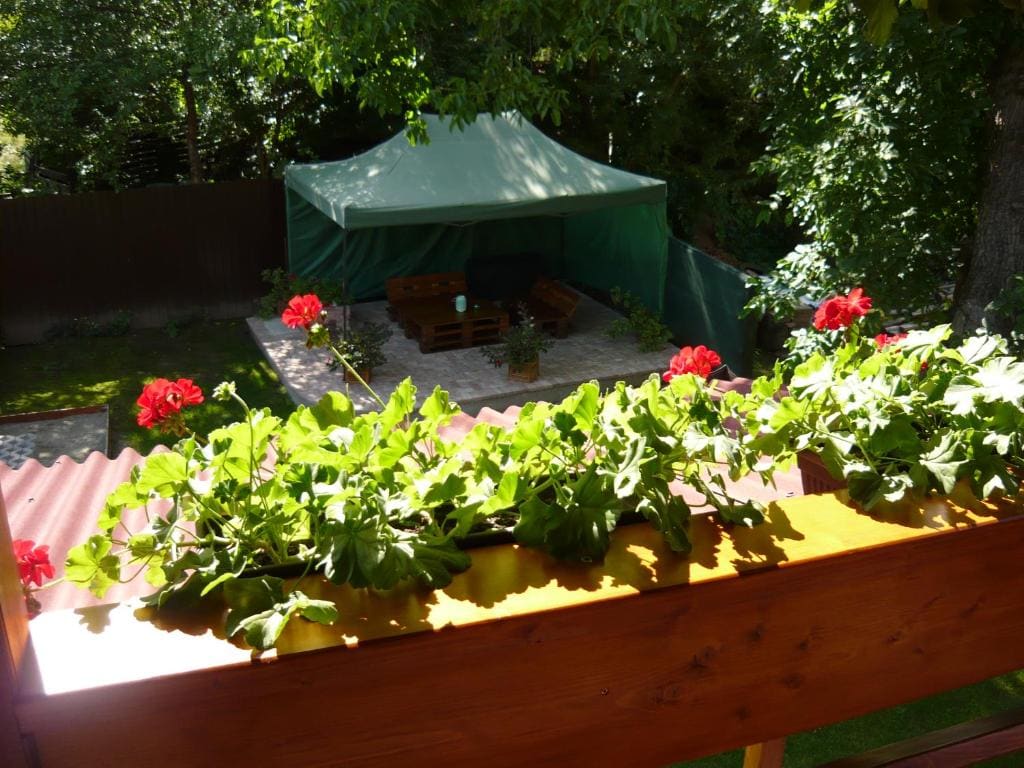 Triple Room with Terrace room - Image 2