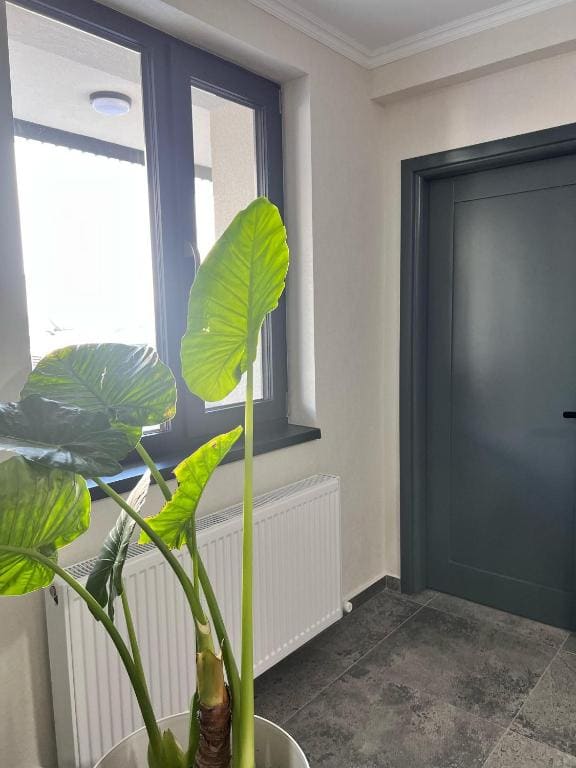 Twin Room room - Image 1
